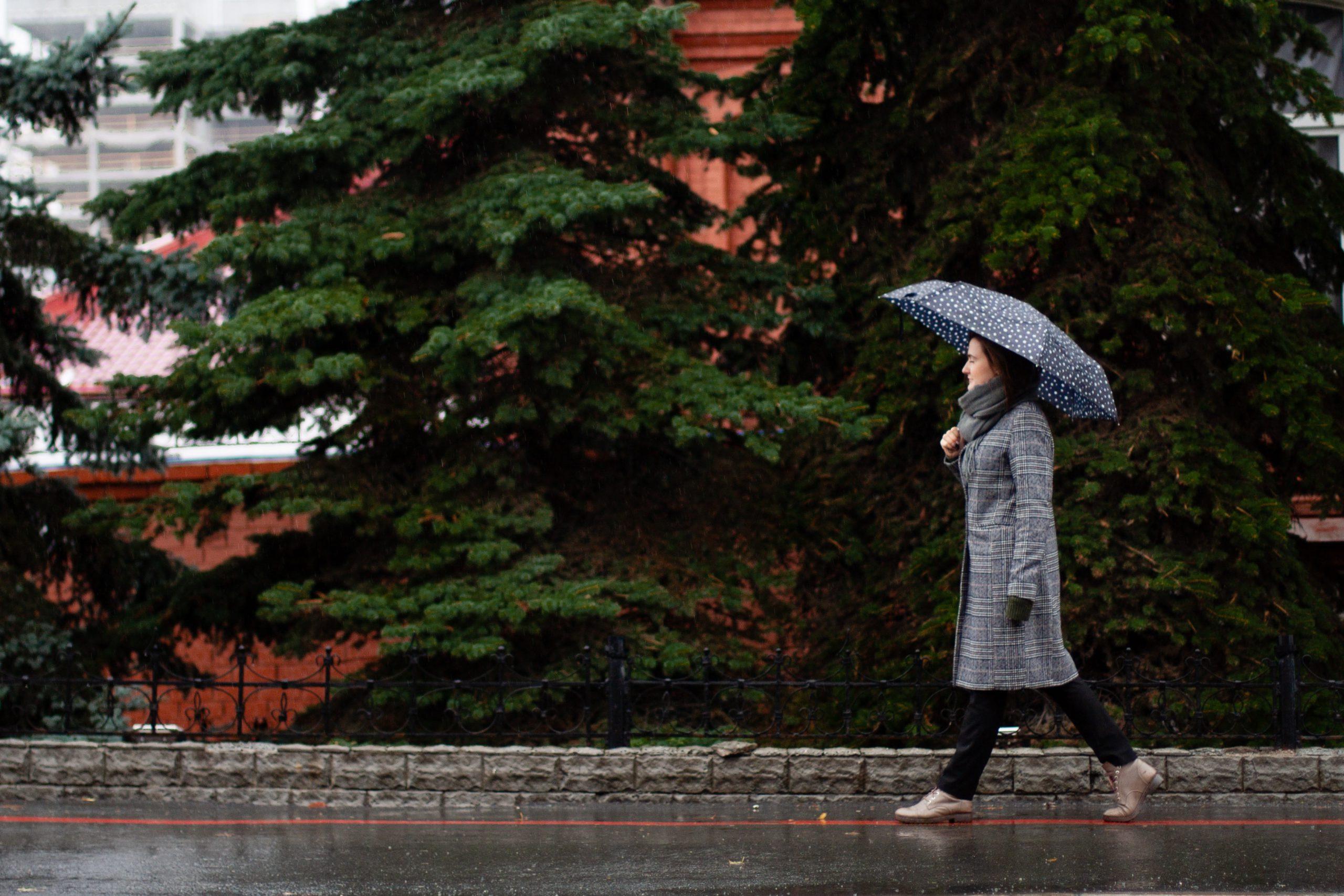 Landlord’s Guide to Umbrella Insurance