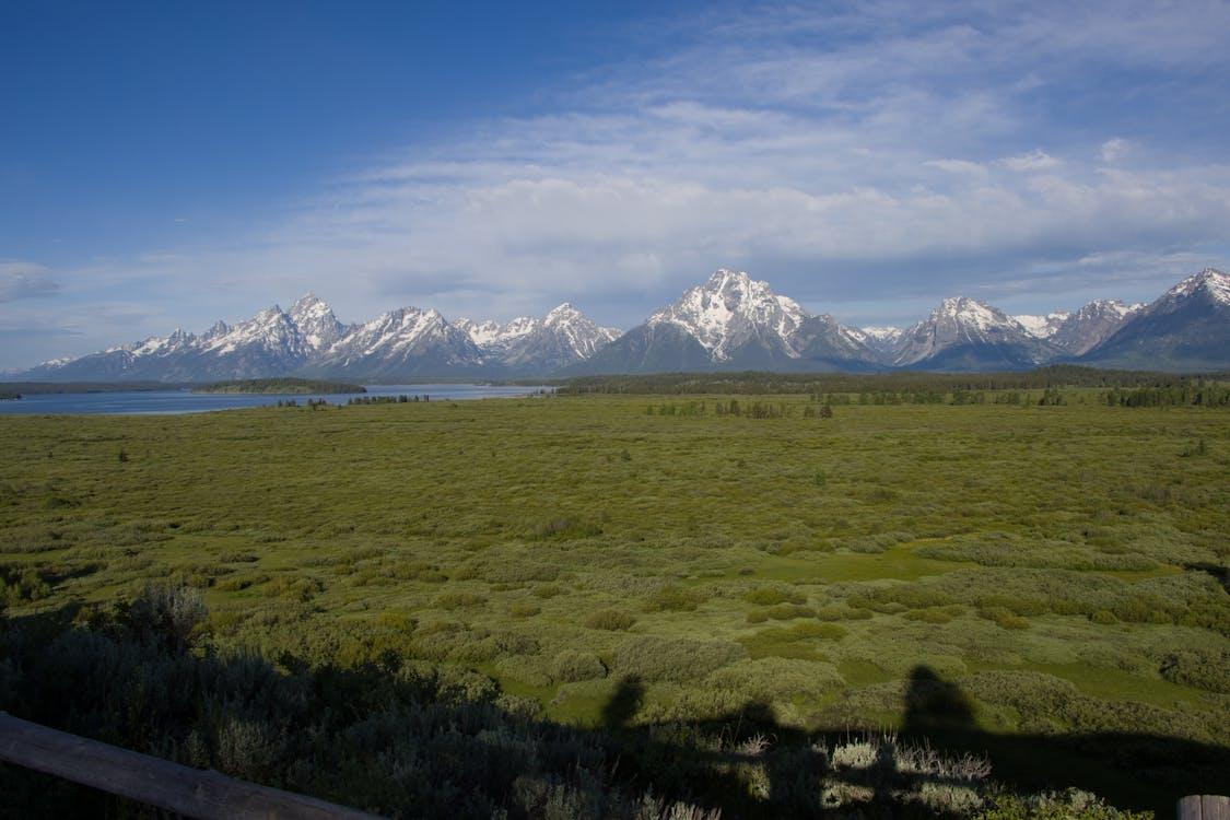 Wyoming Eviction Notice Form Free Download Or Create Your Own