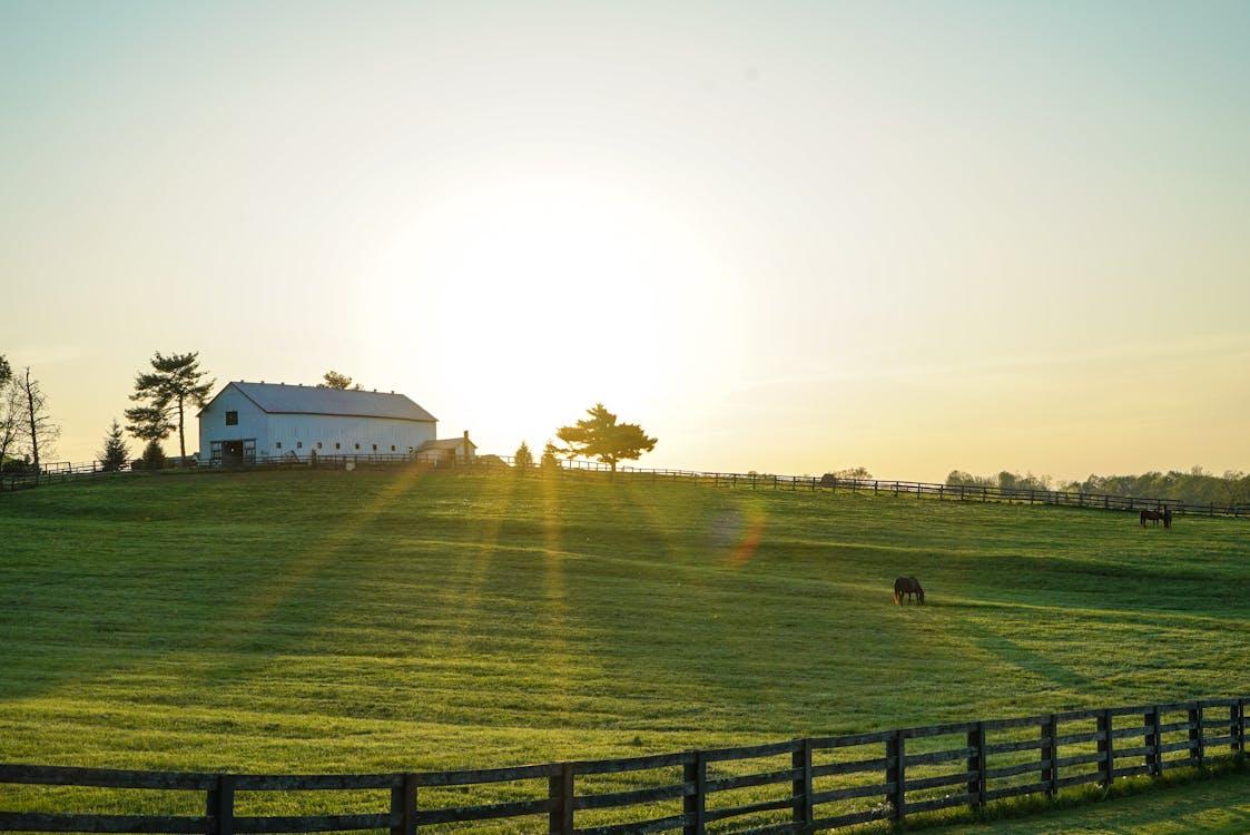 Kentucky Eviction Notice Form Free Download Or Create Your Own