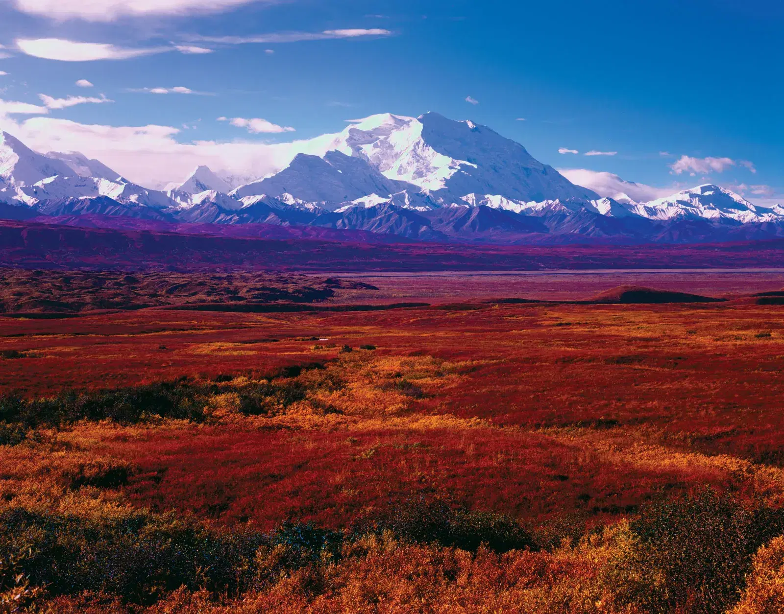 Alaska Lease Agreements: A 2024 Guide