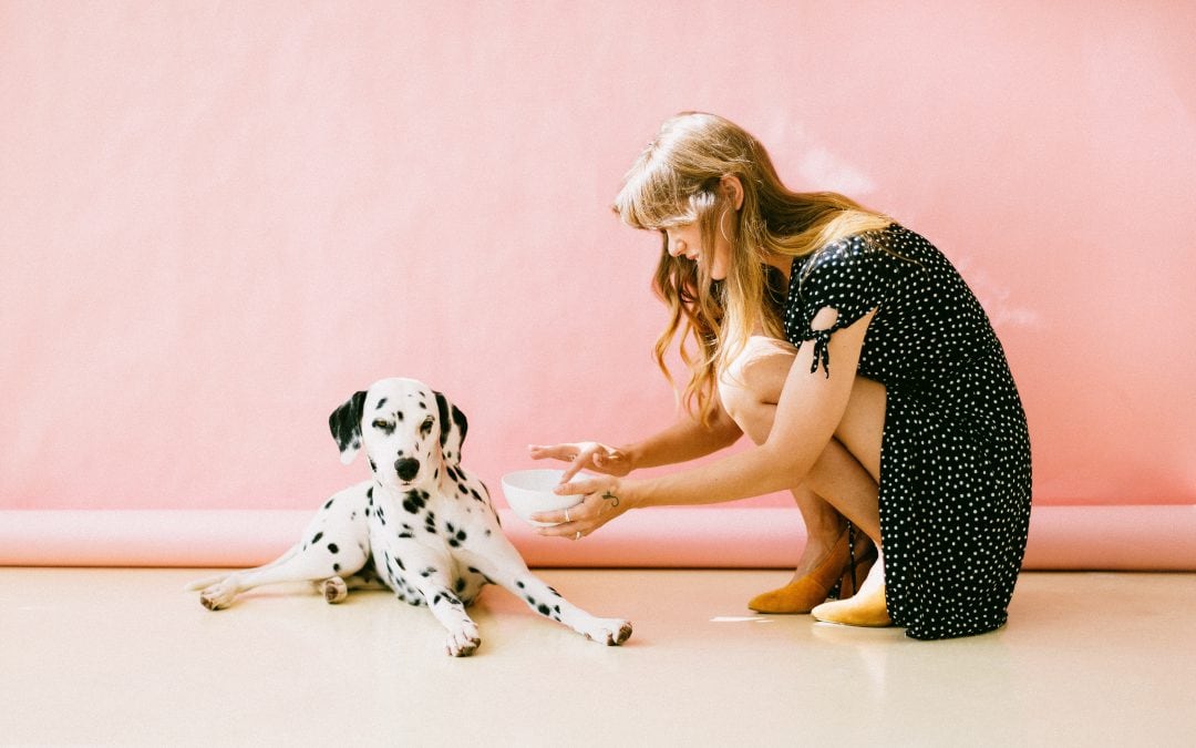 Fido Or Fluffy: What Pets Should you Allow in Your Rentals?