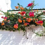 summer rental property maintenance