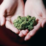 Know Your Rights When Tenants Use Marijuana on Rental Property
