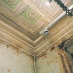 How to Handle Mold in Rental Properties: A Landlord’s Guide