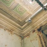 Mold in Rental Properties