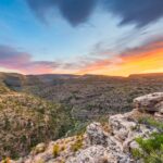 New Mexico Lease Agreements: A 2024 Guide