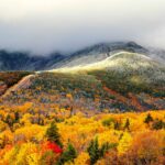 New Hampshire Lease Agreements: A 2024 Guide