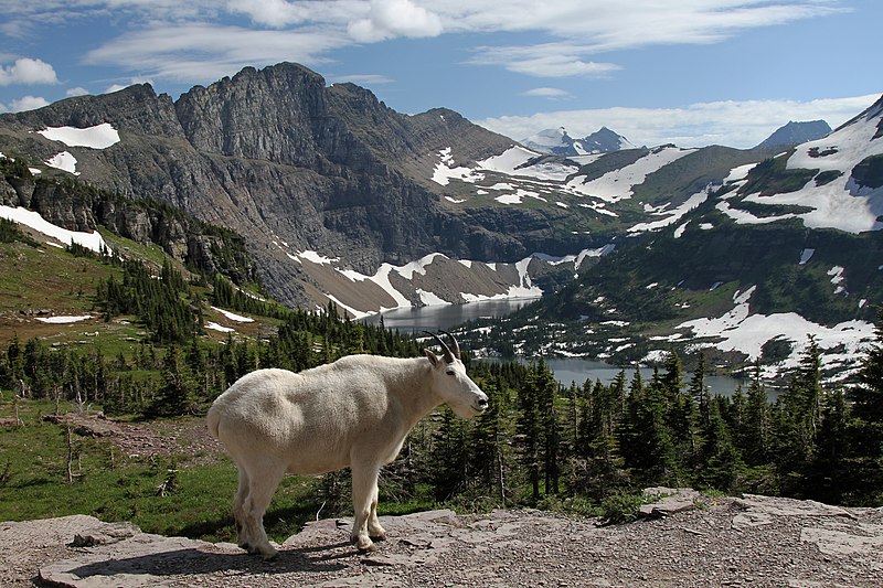 Montana landmark